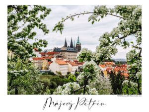 Májový Petřín - Petřín v květu s pohledem na Pražský hrad v pozadí, autor Martin Lukač