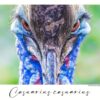 Casuarius casuarius 01 - Detailní záběr na Kasuára přílbového, autor Martin Lukač
