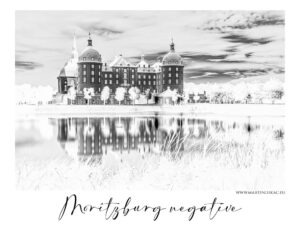 Moritzburg negative - Negativní černobílý snímek zámku Moritzburg s jeho odrazem na vodní hladině, autor Martin Lukač