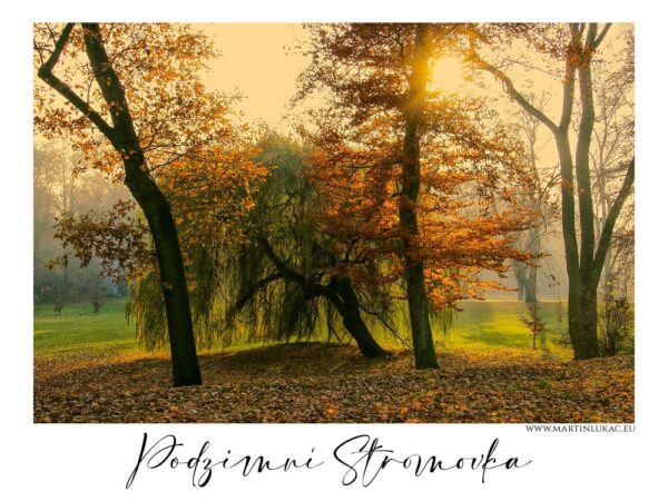 Podzimní Stromovka, stromy v podzimním parku Stromovka při západu slunce, autor Martin Lukač