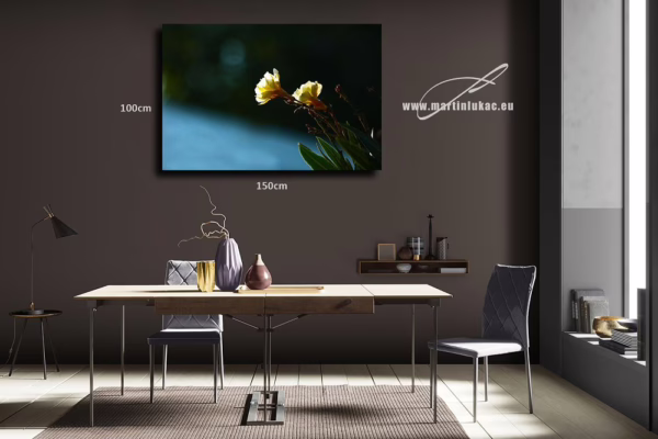Vizualizace obrazu Light – Detailní fotografie žlutých květů ve světle, vizualizace obrazu na zdi, autor Martin Lukač, www.martinlukac.eu