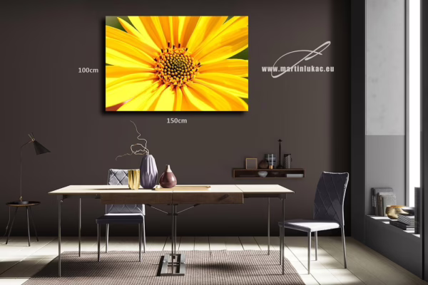 Vizualizace obrazu Odraz slunce – Makrofotografie žlutého květu jako sluneční symbol, vizualizace obrazu na zdi, autor Martin Lukač, www.martinlukac.eu