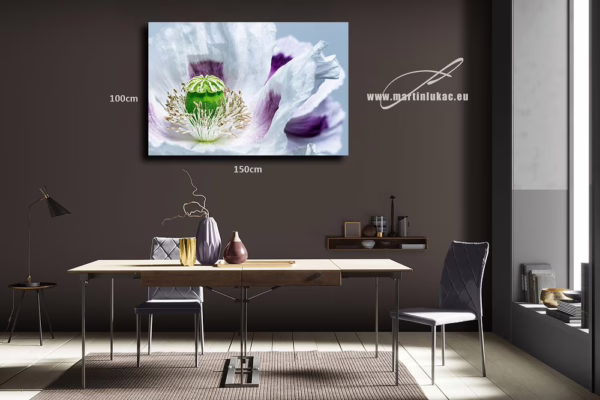 Vizualizace obrazu Vlčí mák v rozpuku – Vizualizace obrazu vlčího máku na zdi, k prodeji v našem eshopu, autor Martin Lukač, www.martinlukac.eu