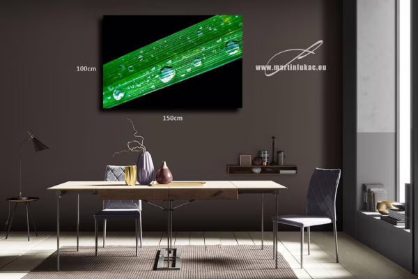 Vizualizace obrazu Zelený kontrast – Vizualizace obrazu zeleného listu s kapkami vody na zdi, k prodeji v našem eshopu, autor Martin Lukač, www.martinlukac.eu