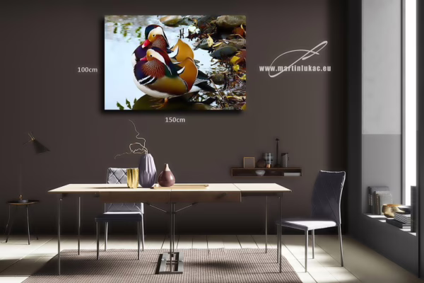 Obraz kachny mandarínské jako dekorace s nádechem exotiky a ticha, k prodeji v našem eshopu, autor Martin Lukač, pražský fotograf, www.martinlukac.eu