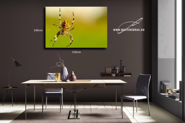 Obraz pavouka jako neobvyklý přírodní motiv s tichou hloubkou, k prodeji v našem eshopu, autor Martin Lukač, pražský fotograf, www.martinlukac.eu