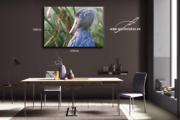 Obraz člunozobce jako vizuálně silný prvek s africkou náladou, k prodeji v našem eshopu, autor Martin Lukač, pražský fotograf, www.martinlukac.eu