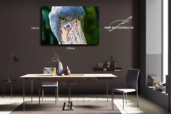 Umělecký portrét ptáka jako výjimečný přírodní motiv v interiéru, k prodeji v našem eshopu, autor Martin Lukač, pražský fotograf, www.martinlukac.eu