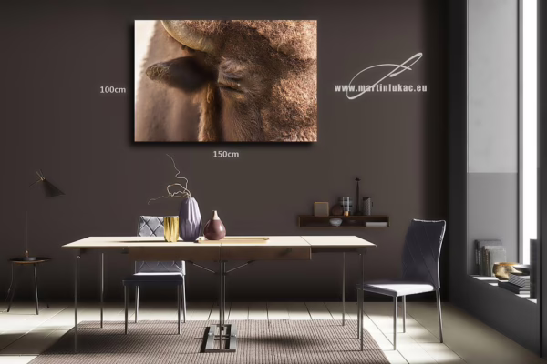 Obraz zubra jako symbol síly a klidu přírody v interiéru, k prodeji v našem eshopu, autor Martin Lukač, pražský fotograf, www.martinlukac.eu