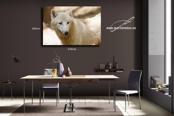 Obraz vlka jako symbol svobody a ticha přírody v interiéru, k prodeji v našem eshopu, autor Martin Lukač, pražský fotograf, www.martinlukac.eu