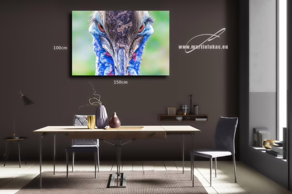Obraz kasuára jako neotřelý a silný motiv divočiny v interiéru, k prodeji v našem eshopu, autor Martin Lukač, pražský fotograf, www.martinlukac.eu