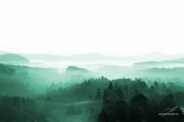 Mlžná krajina Českého Švýcarska s vlnícími se lesy a horskými siluetami, autor Martin Lukač