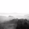 Mlžná krajina Českého Švýcarska s vlnícími se lesy a horskými siluetami, autor Martin Lukač, černobílá