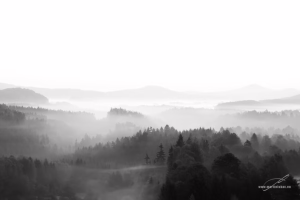 Mlžná krajina Českého Švýcarska s vlnícími se lesy a horskými siluetami, autor Martin Lukač, černobílá