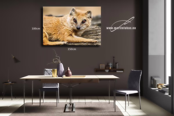 Obraz zvířete s rudýma očima jako tichý svědek přírody v interiérovém podání, k prodeji v našem eshopu, autor Martin Lukač, pražský fotograf, www.martinlukac.eu
