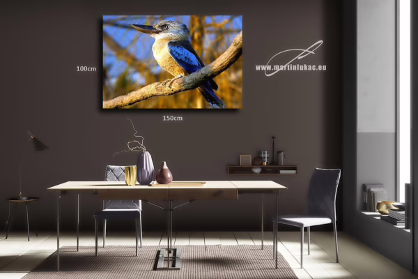 Obraz ledňáka jako dekorativní motiv s přírodní noblesou, k prodeji v našem eshopu, autor Martin Lukač, pražský fotograf, www.martinlukac.eu