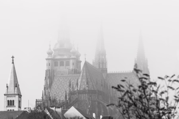 Pražský hrad a chrám sv. Víta zahalený ranní mlhou, černobílá silueta s jemnými detaily, autor Martin Lukač, černobílá
