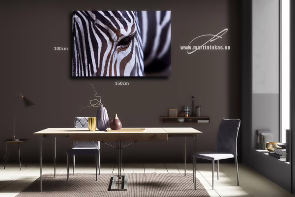 Obraz zebry jako vizuální hra kontrastů a klidu, vhodný do moderního interiéru, k prodeji v našem eshopu, autor Martin Lukač, pražský fotograf, www.martinlukac.eu