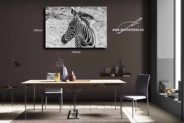 Obraz mladé zebry jako symbolu života v suché krajině, vhodný do interiéru, k prodeji v našem eshopu, pražský fotograf, www.martinlukac.eu