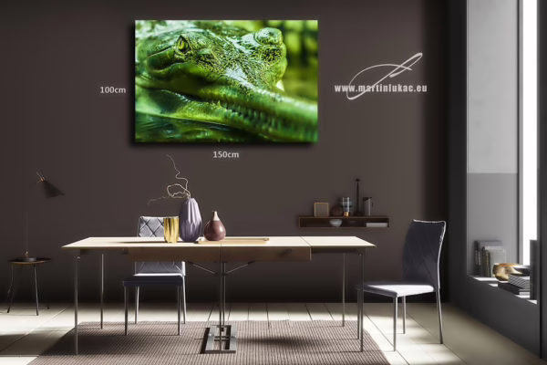 Obraz gaviála jako pradávného strážce vody, klidného a pozorného, k prodeji v našem eshopu, autor Martin Lukač, pražský fotograf, www.martinlukac.eu