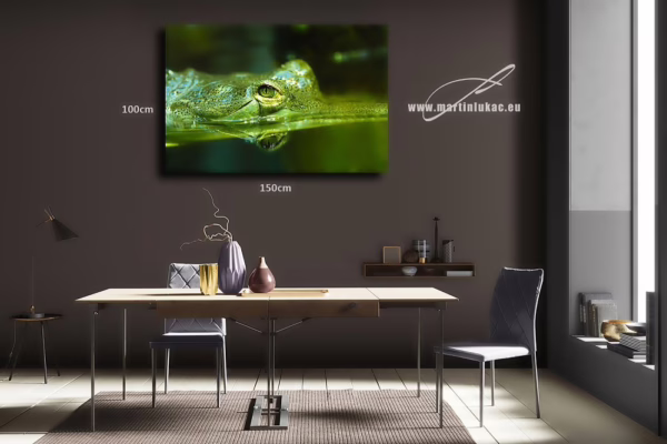 Obraz gaviála jako vizuální meditace s jemnou hladinou a pozorujícím pohledem, k prodeji v našem eshopu, autor Martin Lukač, pražský fotograf, www.martinlukac.eu