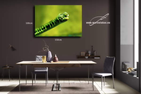 Obraz čelisti jako přírodní výtvarný motiv s dynamikou a klidem, k prodeji v našem eshopu, autor Martin Lukač, pražský fotograf, www.martinlukac.eu