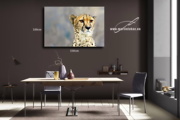 Obraz geparda jako symbolu tichého napětí a vnitřní síly, k prodeji v našem eshopu, autor Martin Lukač, pražský fotograf, www.martinlukac.eu