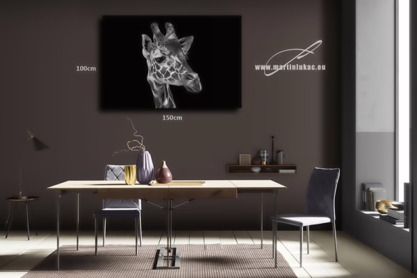 Obraz žirafy jako elegantního zvířecího motivu na tmavém pozadí, k prodeji v našem eshopu, autor Martin Lukač, pražský fotograf, www.martinlukac.eu