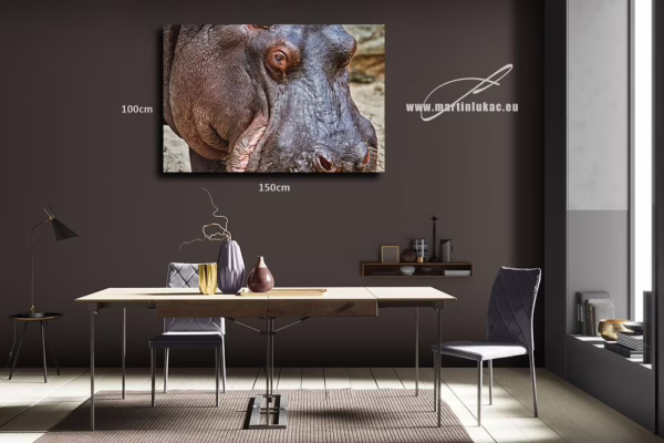 Obraz hrocha jako symbolu síly a křehkosti v jednom výrazu, k prodeji v našem eshopu, autor Martin Lukač, pražský fotograf, www.martinlukac.eu