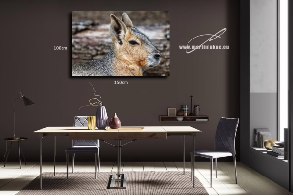Obraz kapybary jako meditativního motivu klidu, vhodný do interiéru, k prodeji v našem eshopu, autor Martin Lukač, pražský fotograf, www.martinlukac.eu