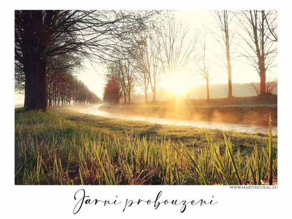 Jarní probouzení – slunce vycházející nad říčkou a ranní rosou, autor Martin Lukač
