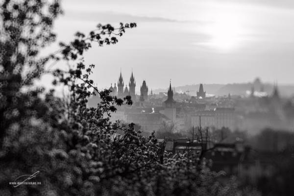 Černobílá verze jarního pohledu z Petřína na probouzející se Prahu, autor Martin Lukač, pražský fotograf, www.martinlukac.eu