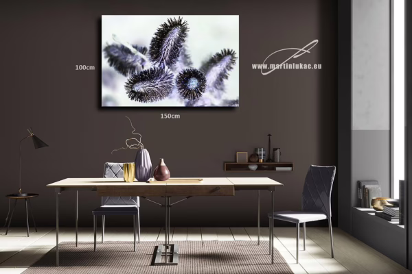 Vizualizace uměleckého obrazu kočiček v negativní úpravě – k prodeji v našem eshopu, autor Martin Lukač, pražský fotograf, www.martinlukac.eu