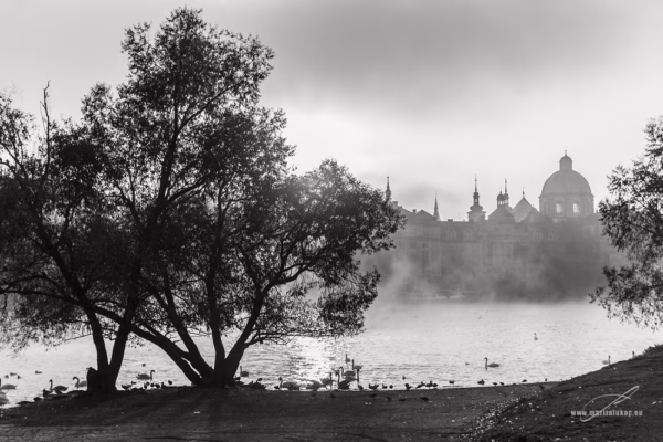 Ranní mlha a sluneční paprsky na Kampě s pohledem na historické panorama Prahy, autor Martin Lukač, černobílá