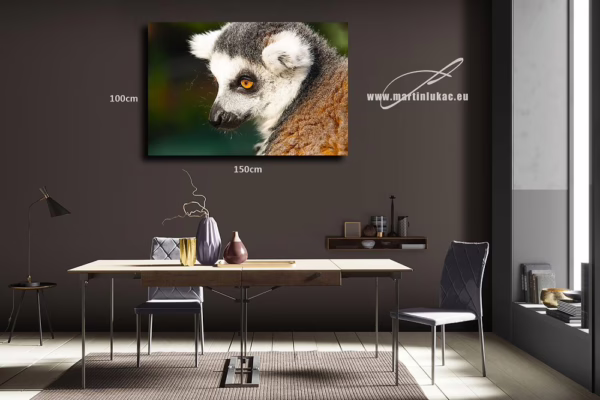 Obraz lemura jako dramatického a estetického prvku, vhodného pro interiér, k prodeji v našem eshopu, autor Martin Lukač, pražský fotograf, www.martinlukac.eu