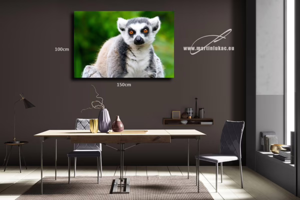 Obraz lemura jako výtvarně silný portrét inteligence a klidu, k prodeji v našem eshopu, autor Martin Lukač, pražský fotograf, www.martinlukac.eu