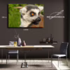 Obraz lemura jako dramatického motivu bdělosti a krásy, k prodeji v našem eshopu, autor Martin Lukač, pražský fotograf, www.martinlukac.eu