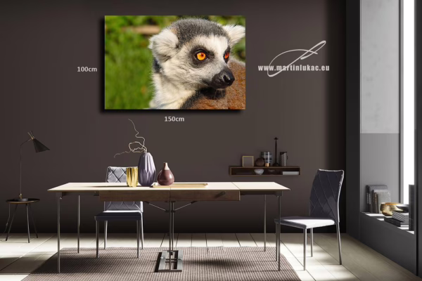Obraz lemura jako dramatického motivu bdělosti a krásy, k prodeji v našem eshopu, autor Martin Lukač, pražský fotograf, www.martinlukac.eu