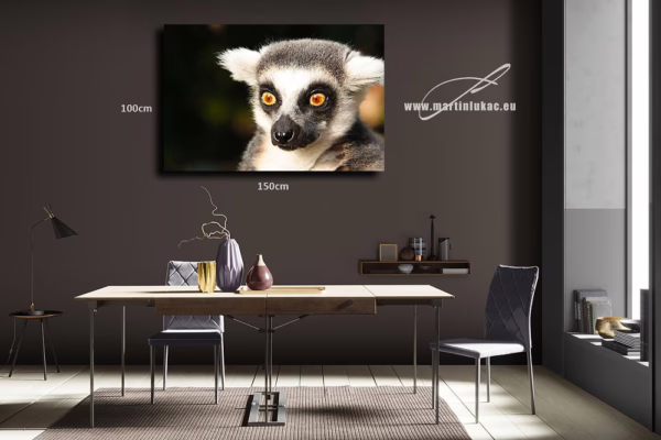 Obraz lemura jako zvířecího výrazu překvapení, dramatu a krásy, k prodeji v našem eshopu, autor Martin Lukač, pražský fotograf, www.martinlukac.eu
