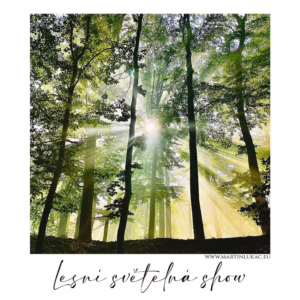 Lesní světelná show – ranní sluneční paprsky pronikající lesem, autor Martin Lukač, www.martinlukac.eu