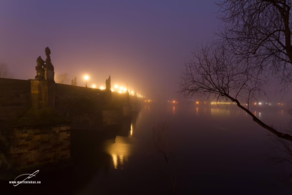 Karlův most v noční mlze s rozsvícenými lampami a větvemi stromu v popředí, autor Martin Lukač