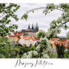 Pražský hrad v květnovém rámci rozkvetlých stromů na Petříně, autor Martin Lukač, pražský fotograf, www.martinlukac.eu