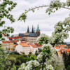 Pražský hrad v květnovém rámci rozkvetlých stromů na Petříně, autor Martin Lukač, pražský fotograf, www.martinlukac.eu
