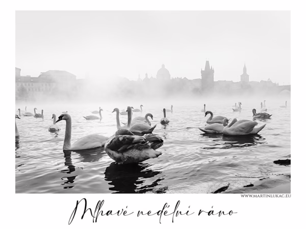 Labutě plující ve vltavské mlze s panoramatem Prahy v pozadí, autor Martin Lukač