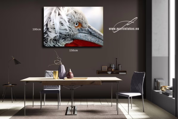 Obraz pelikána jako symbolu klidu a síly, elegantní motiv pro interiér, k prodeji v našem eshopu, autor Martin Lukač, pražský fotograf, www.martinlukac.eu
