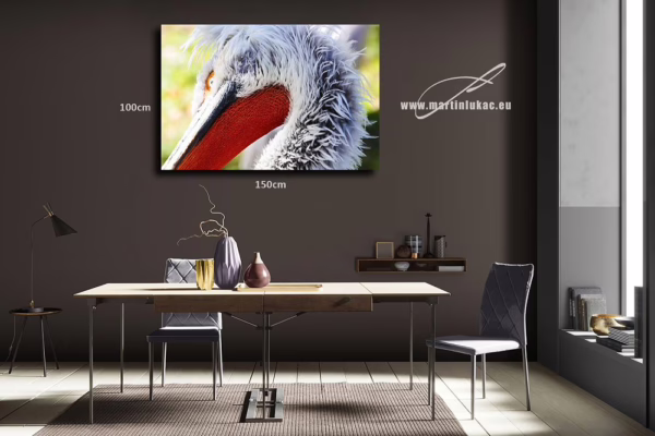 Obraz pelikána jako ladný symbol pohybu a elegance, k prodeji v našem eshopu, autor Martin Lukač, pražský fotograf, www.martinlukac.eu