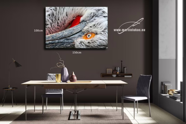 Obraz pelikána jako výtvarné studie kontrastu a klidu, k prodeji v našem eshopu, autor Martin Lukač, pražský fotograf, www.martinlukac.eu