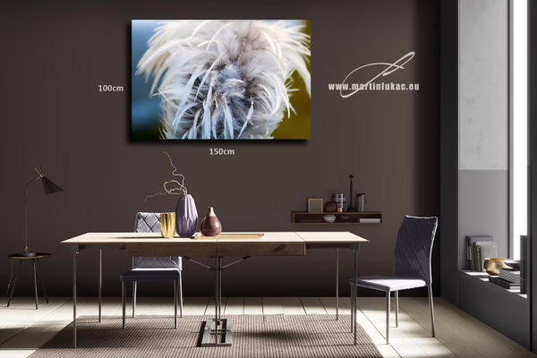 Obraz lehkosti a pohybu zachycený v detailu zvířecího peří, k prodeji v našem eshopu, autor Martin Lukač, pražský fotograf, www.martinlukac.eu