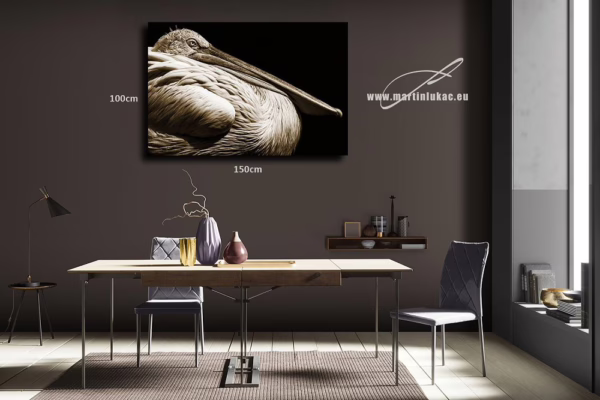 Umělecký obraz zvířecího klidu a elegance, ideální jako dekorace, k prodeji v našem eshopu, autor Martin Lukač, pražský fotograf, www.martinlukac.eu