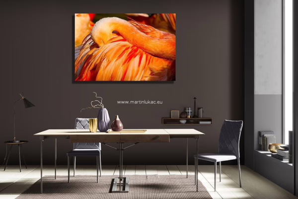 Energií nabitý obraz prosluněné elegance, vhodný jako dekorace, k prodeji v našem eshopu, autor Martin Lukač, pražský fotograf, www.martinlukac.eu